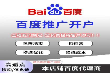 百度推广中的创意策略：成功案例解析与启示